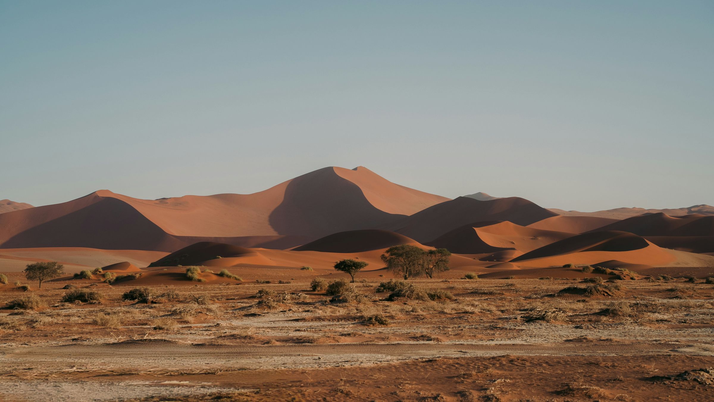 Red dunes of Sossusvlei under a pale sky, ridgelines catching the sun